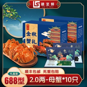 全母蟹2.0两母蟹10只礼盒装