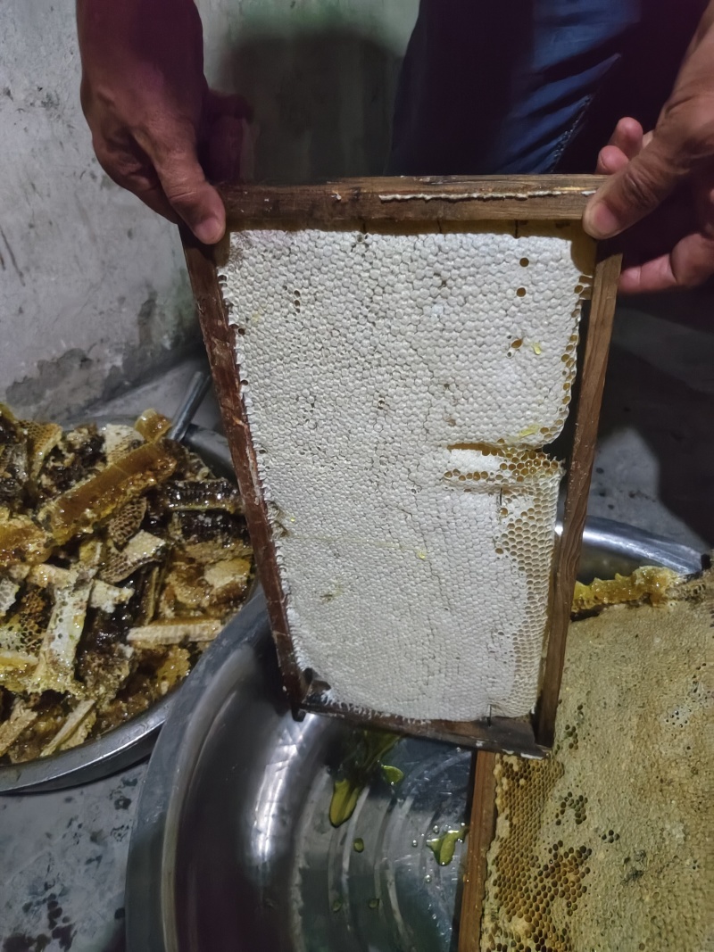 正宗土蜂蜜