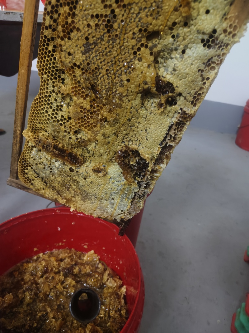 正宗土蜂蜜