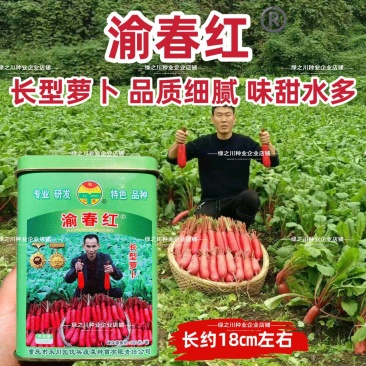 红皮长型萝卜种籽渝春红萝卜种子白肉味甜水多产量高南方春秋