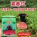 红皮长型萝卜种籽渝春红萝卜种子白肉味甜水多产量高南方春秋