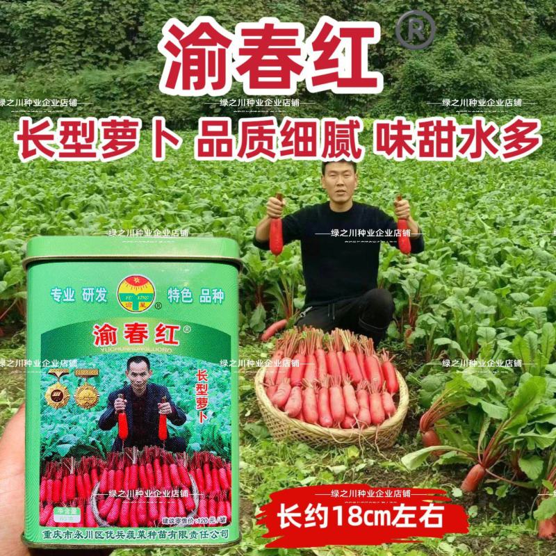 红皮长型萝卜种籽渝春红萝卜种子白肉味甜水多产量高南方春秋