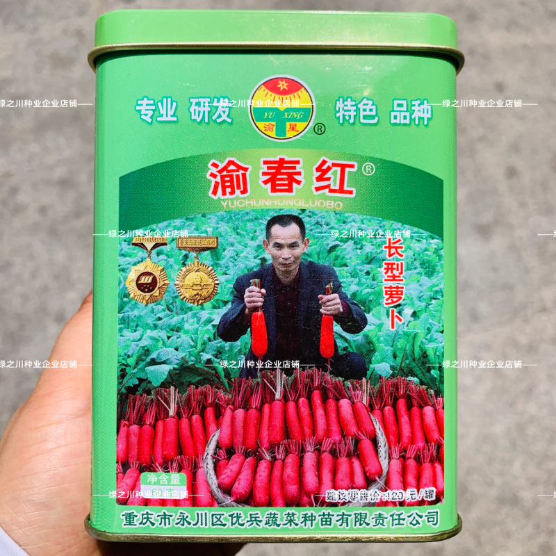 红皮长型萝卜种籽渝春红萝卜种子白肉味甜水多产量高南方春秋