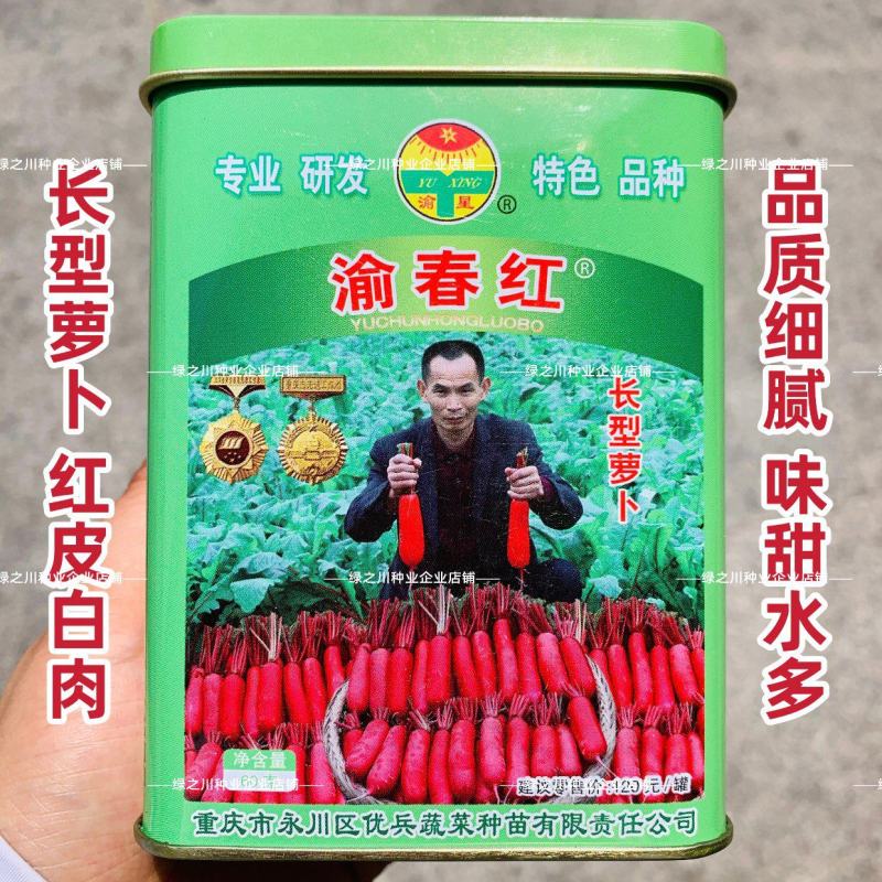 渝春红萝卜种子长型红皮白肉萝卜种子南方热销春秋红萝卜