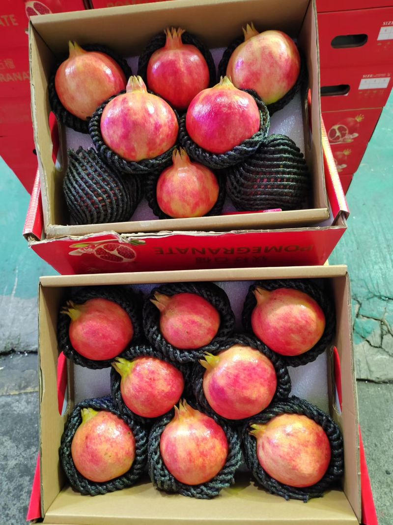 突尼斯软籽石榴