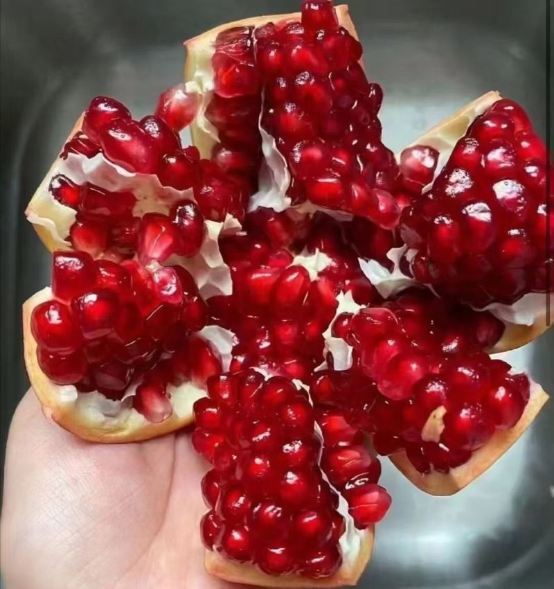 突尼斯软籽石榴