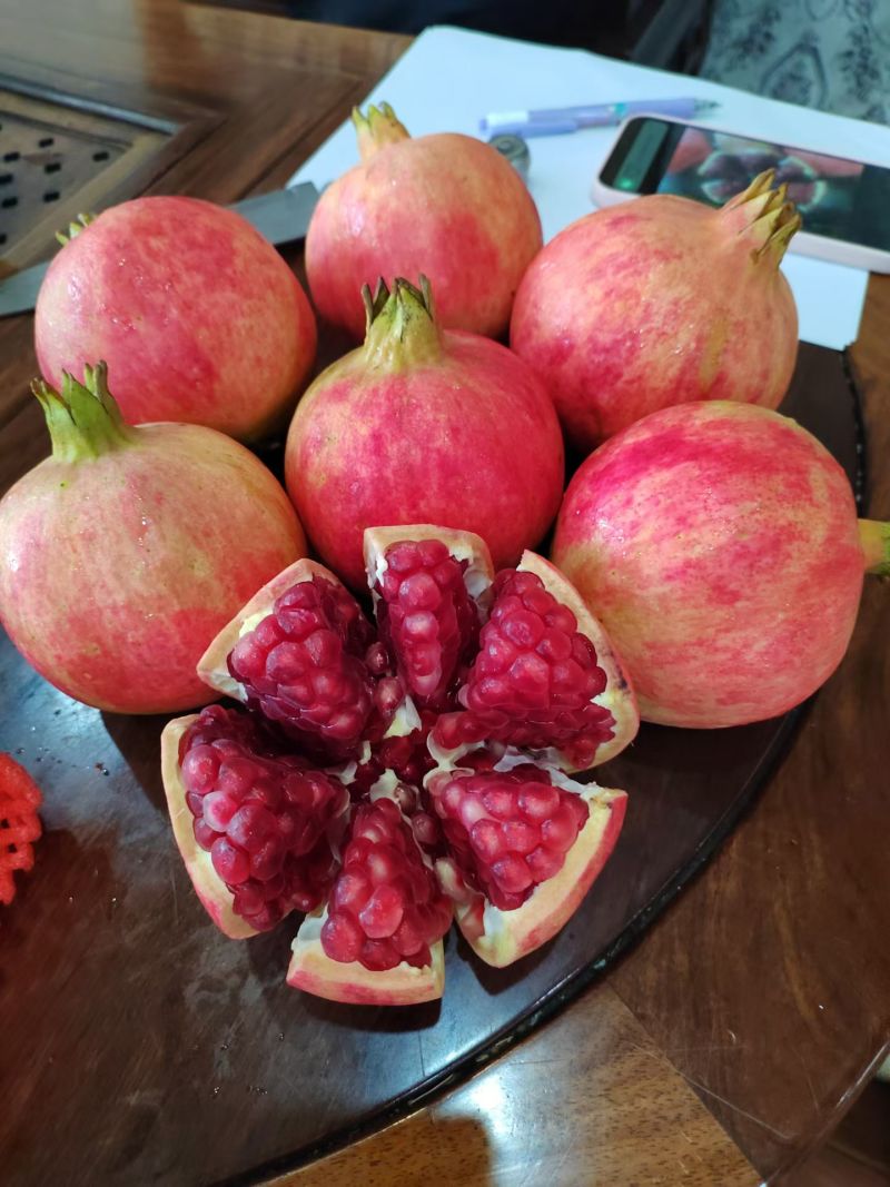 突尼斯软籽石榴