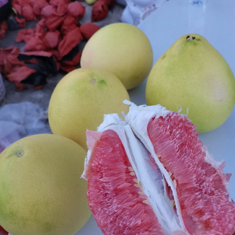 梅县红心蜜柚，口感爽脆，皮薄多汁，零售批发都可，量大从优