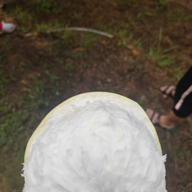 梅县红心蜜柚，口感爽脆，皮薄多汁，零售批发都可，量大从优