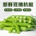 精品杭椒今日特价，质量好品质有保障适合电商超市联系
