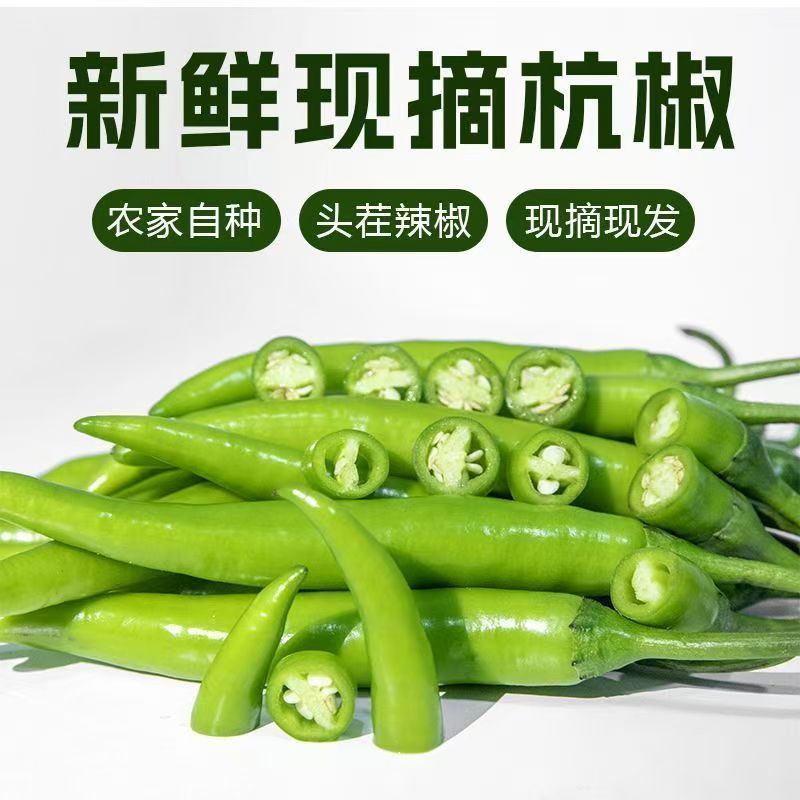 精品杭椒今日特价，质量好品质有保障适合电商超市联系