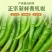精品杭椒今日特价，质量好品质有保障适合电商超市联系