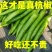 精品杭椒今日特价，质量好品质有保障适合电商超市联系