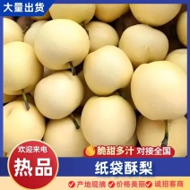 山西运城纸袋苏梨，口感甜脆，产地直供/保质保量全国发货