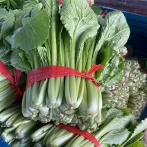 精品小白菜市场货食堂货电商货