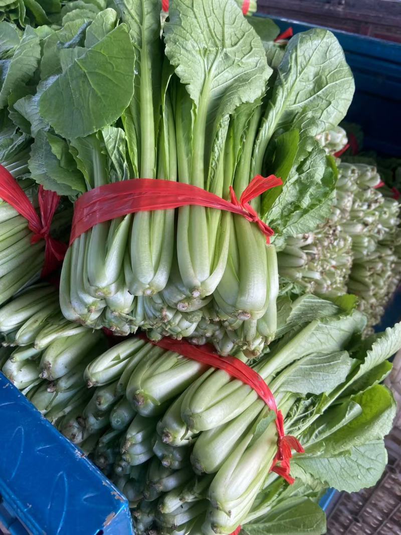 精品小白菜市场货食堂货电商货