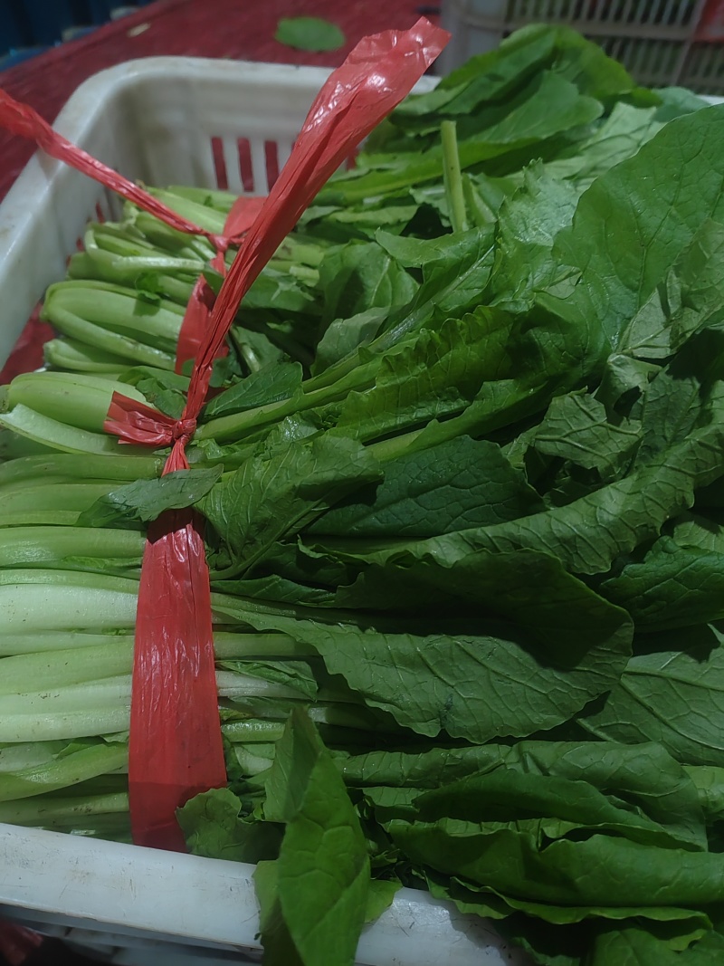 精品小白菜市场货食堂货电商货