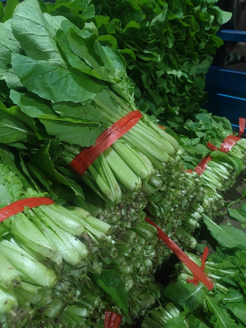 精品小白菜市场货食堂货电商货