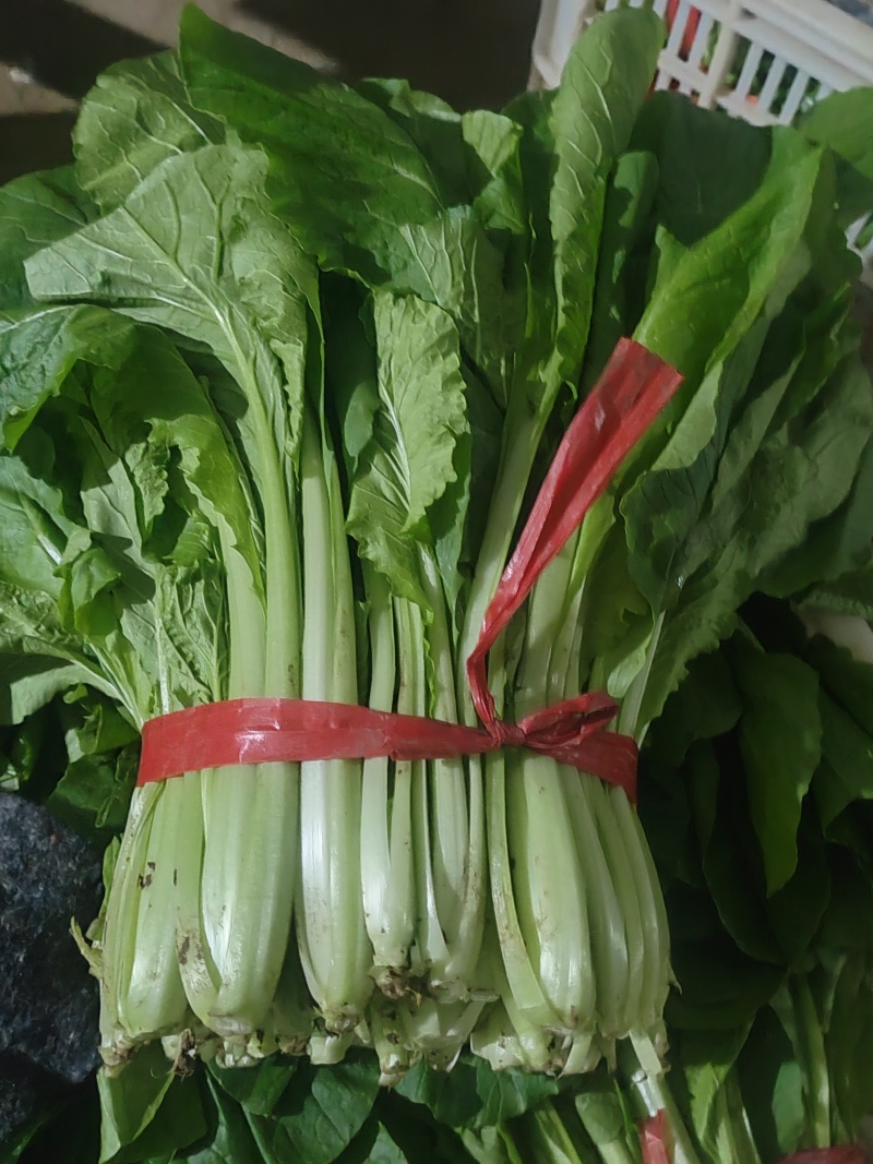 精品小白菜市场货食堂货电商货