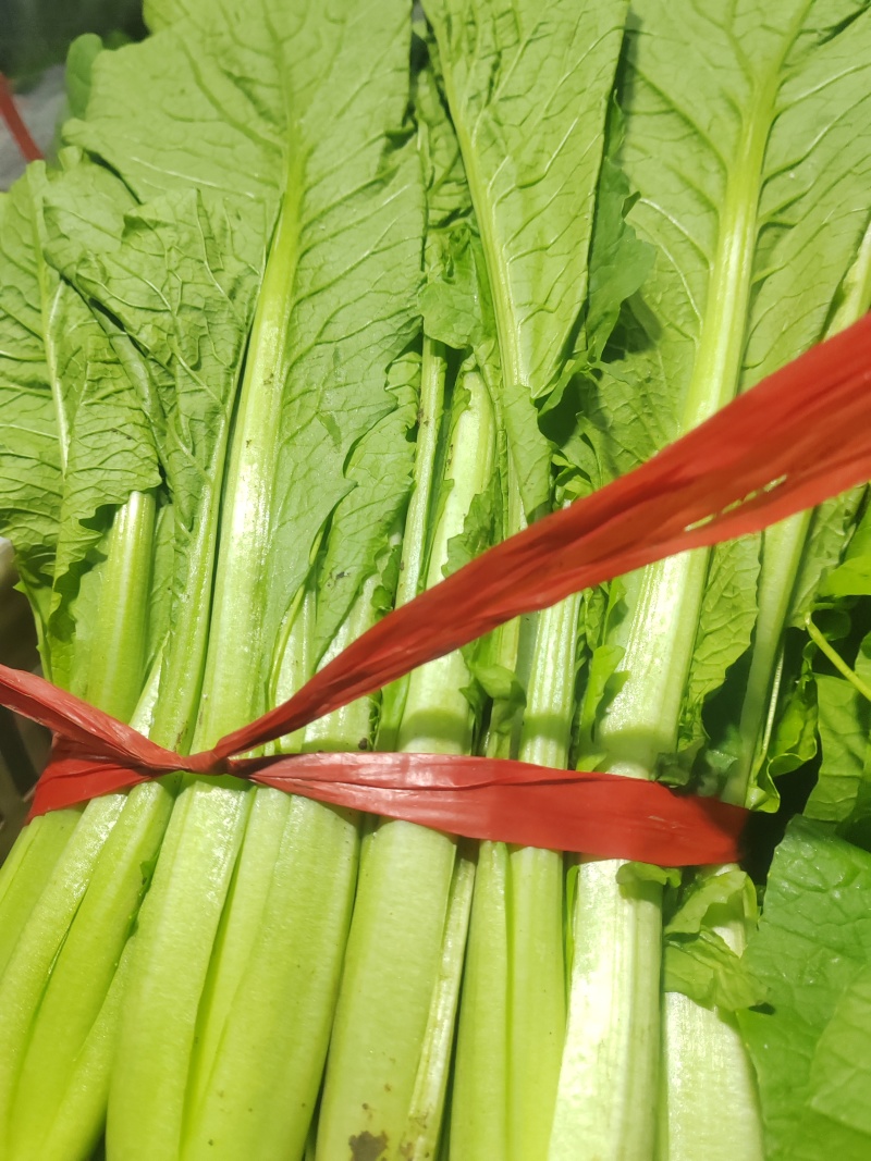 精品小白菜市场货食堂货电商货