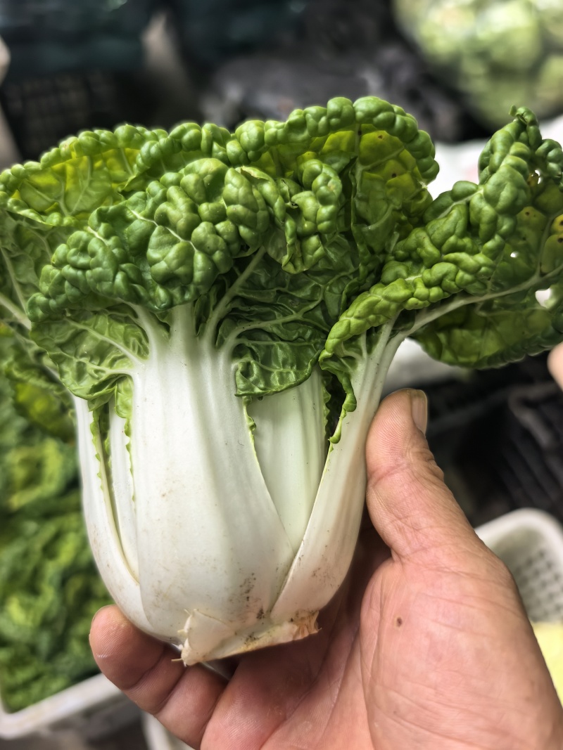 黄心菜