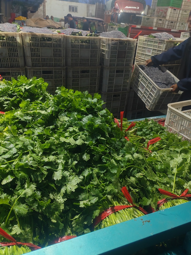 精品香菜市场货食堂货电商货
