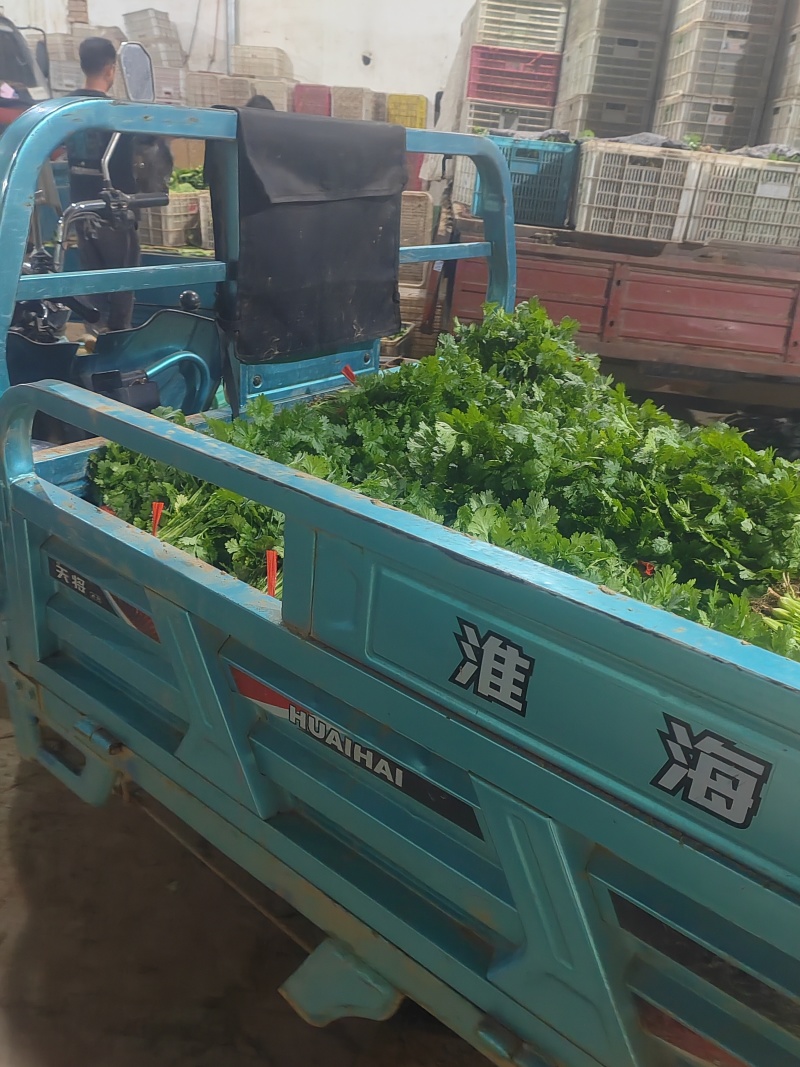 精品香菜市场货食堂货电商货