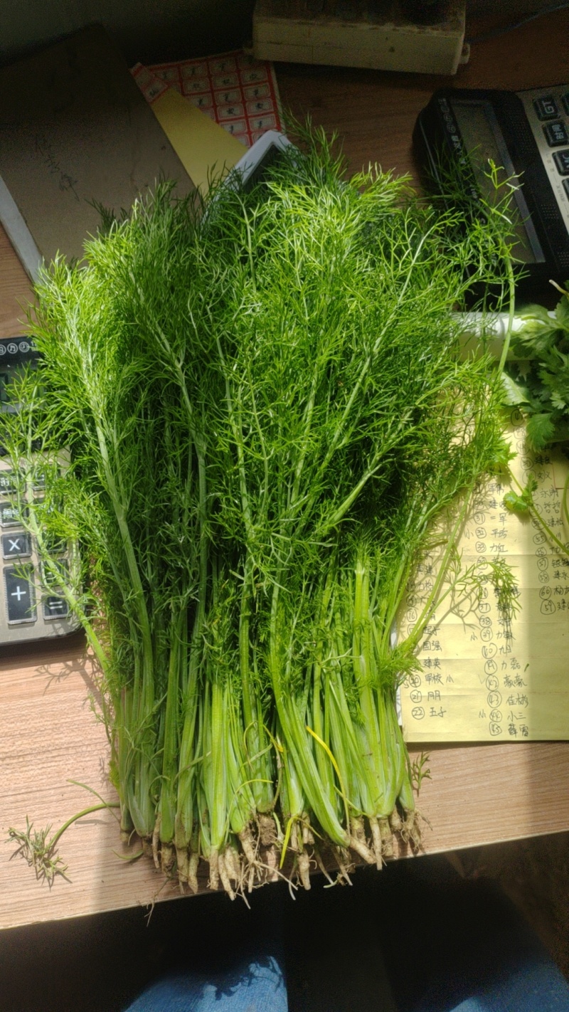 精品茴香市场货食堂货电商