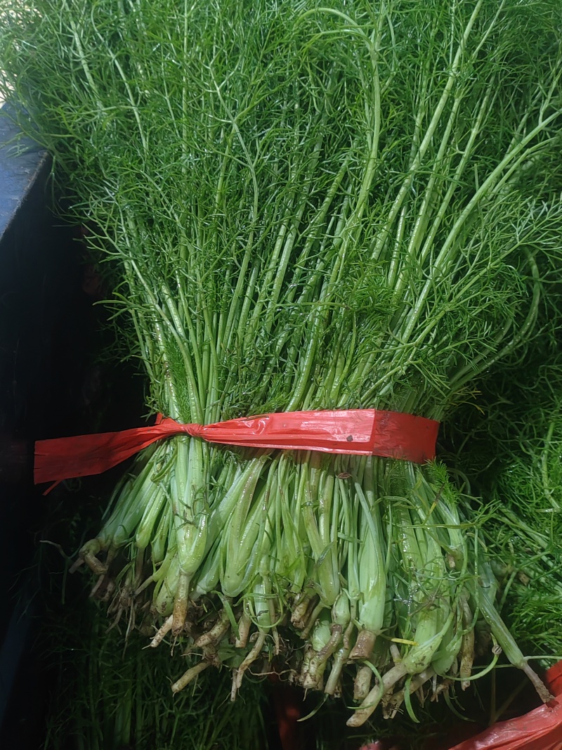 精品茴香市场货食堂货电商