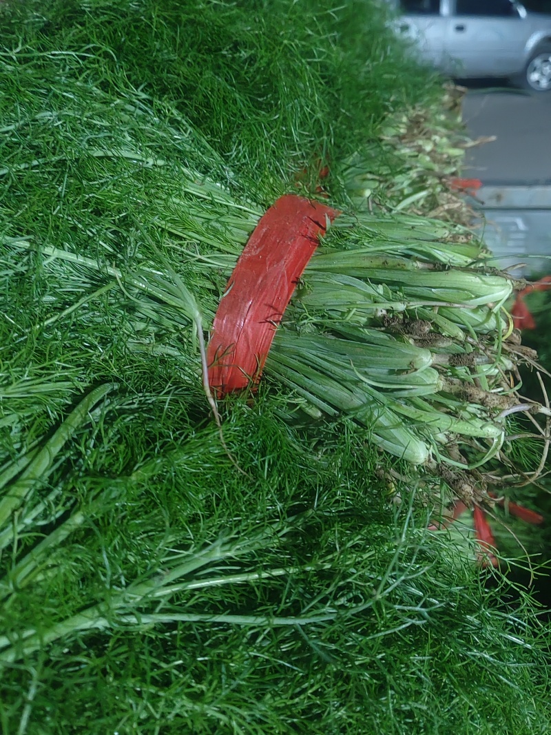 精品茴香市场货食堂货电商