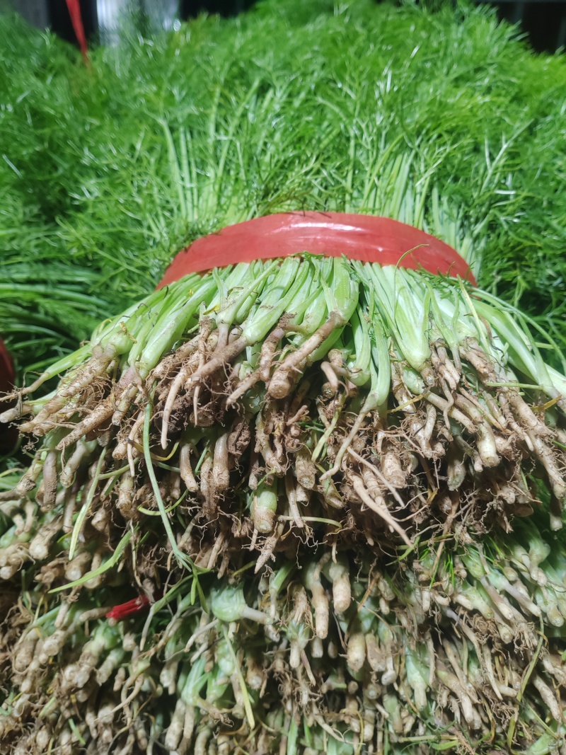 精品茴香市场货食堂货电商