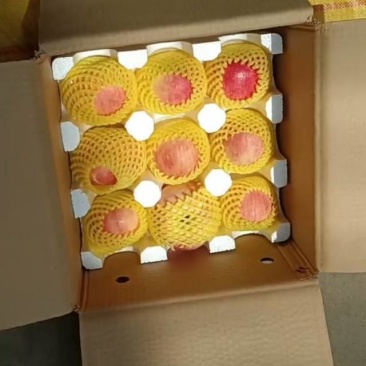 秦脆苹果10斤装高德腾讯地图搜小马水果快递