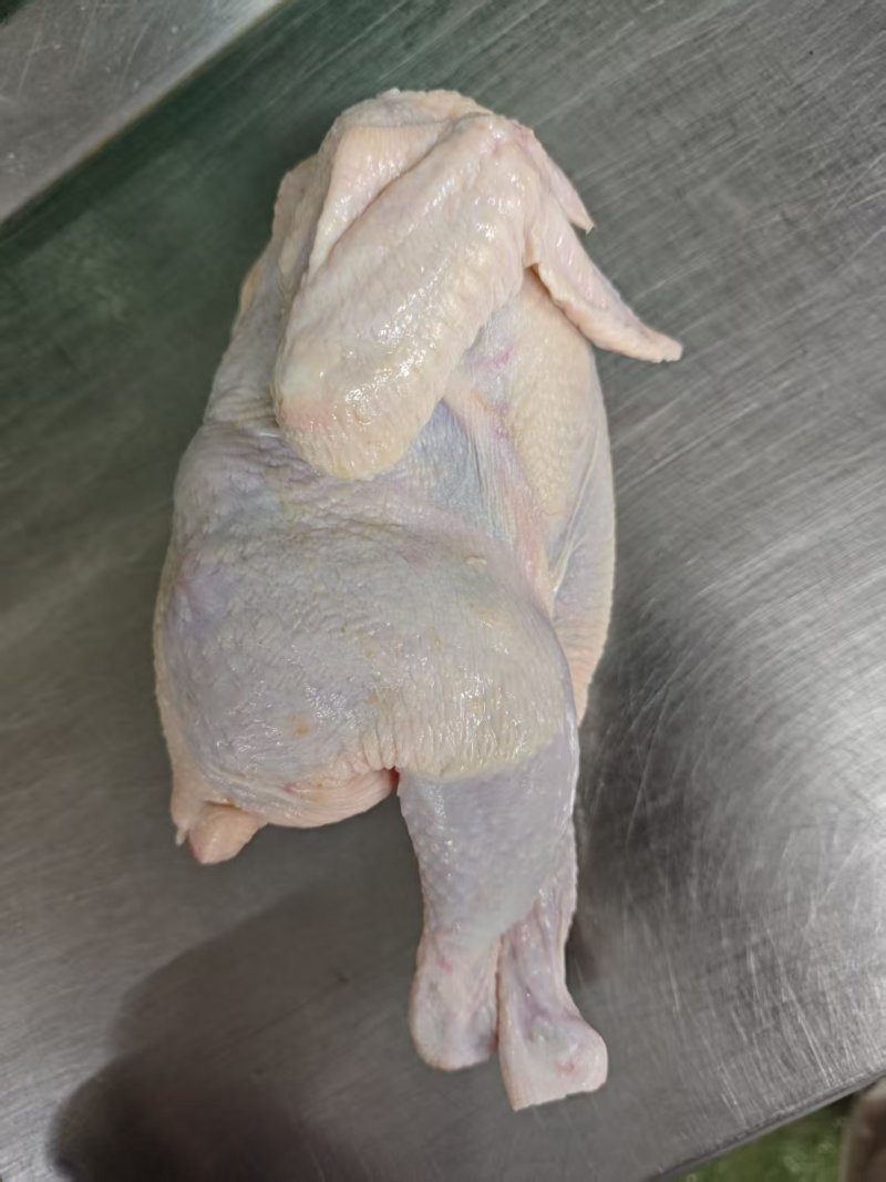 西装鸡\白条鸡
