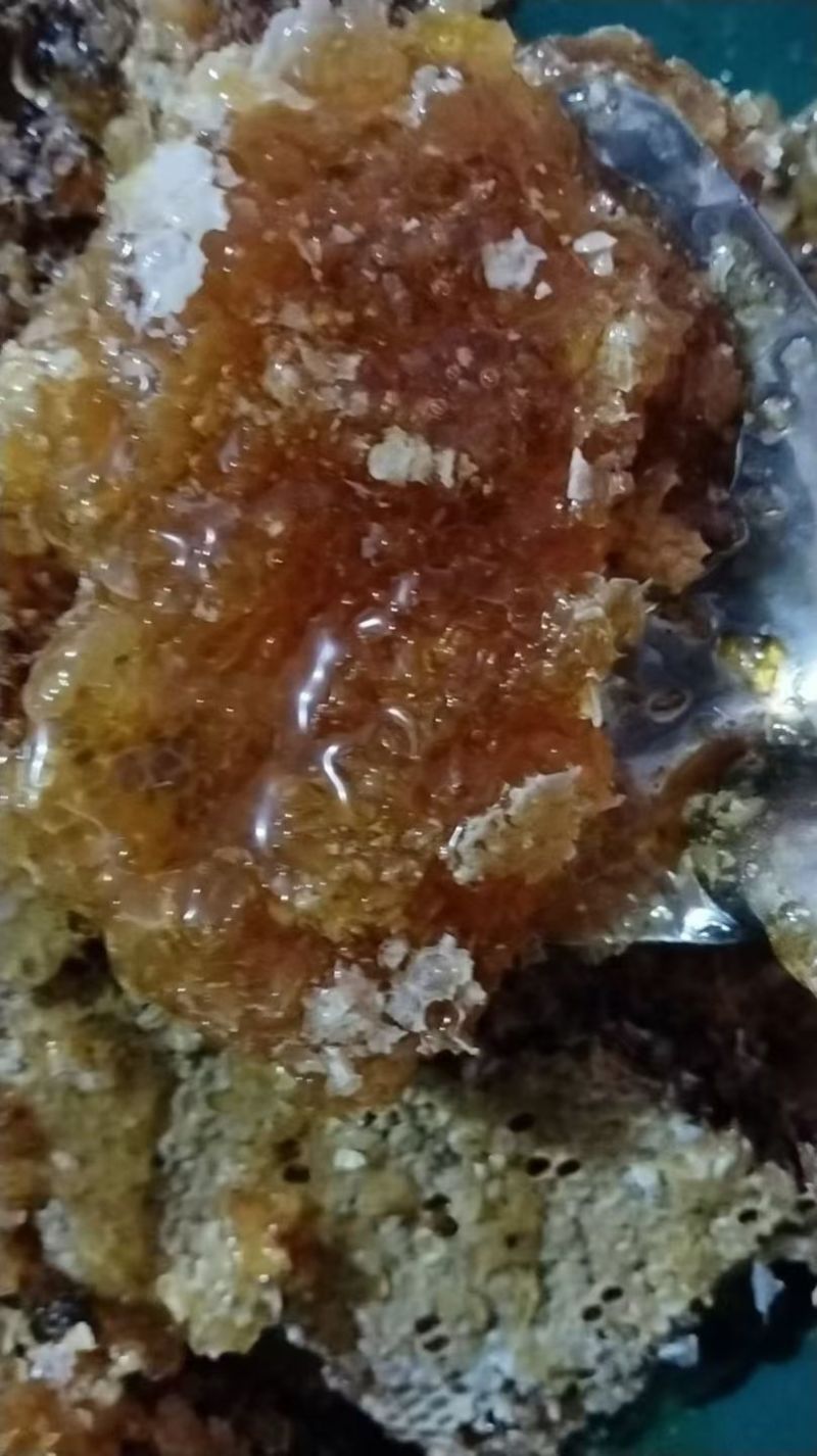 一年割一次的高山蜂蜜