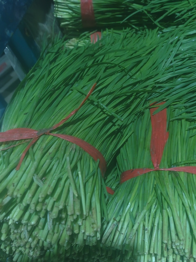 精品韭菜市场货食堂货电