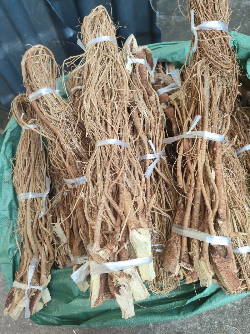 广西五指毛桃无硫长扎把足干香味浓郁煲汤佳品