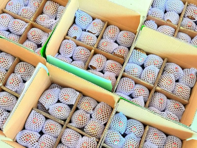 眉县特产徐香猕猴桃，10斤礼盒，10斤普通箱子，5斤礼盒
