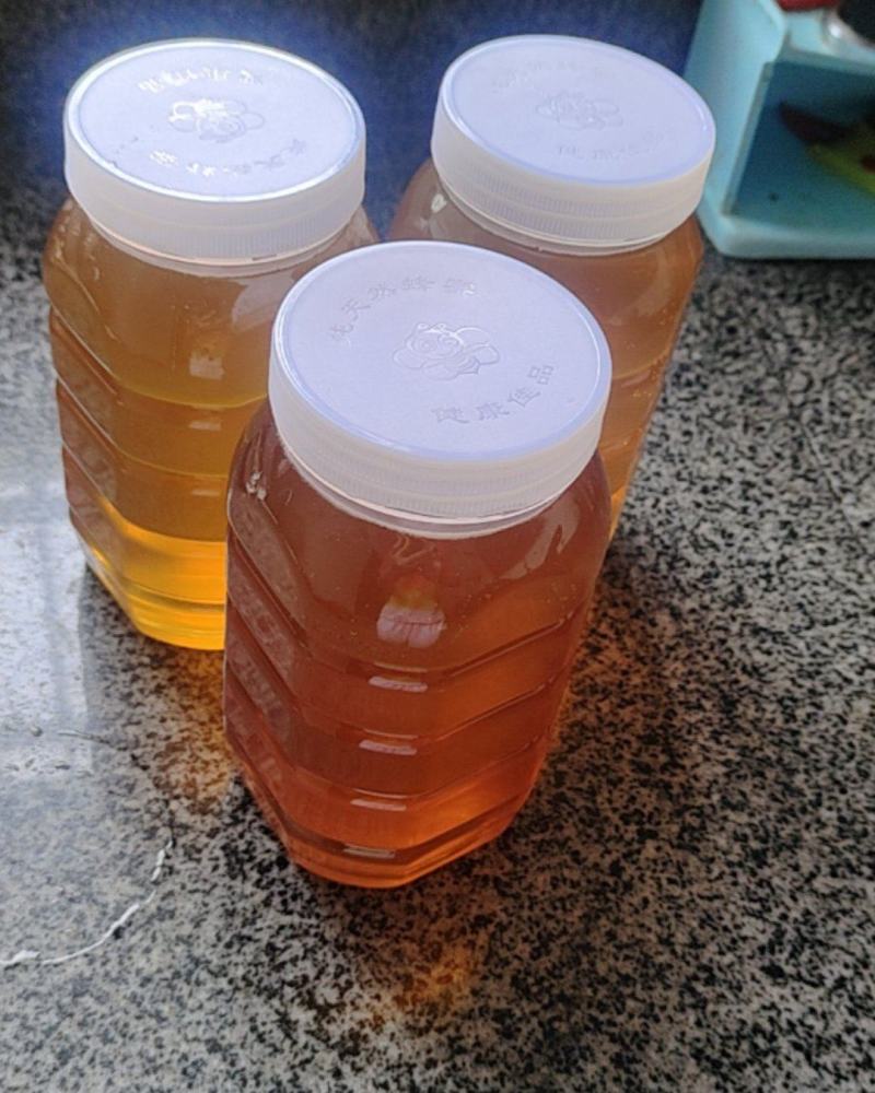 家养的土蜂蜜