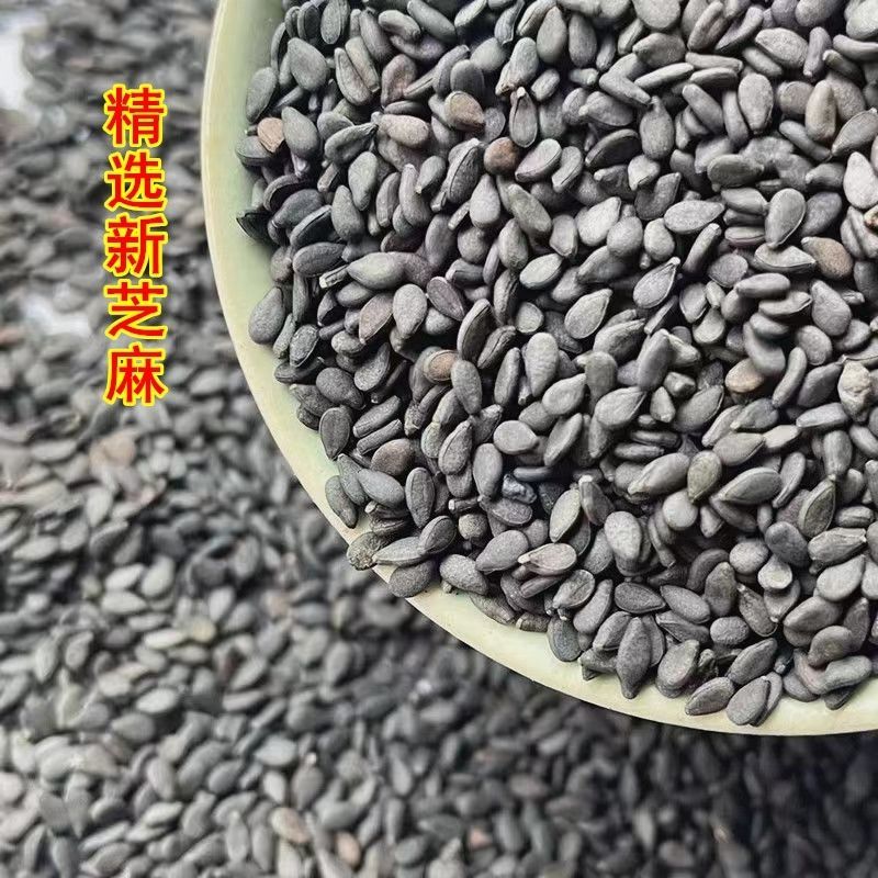 黑芝麻新货黑芝麻熟芝糠麻油麻干净无沙批发零售