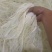 白长千层，牛百叶净重30斤，带水50到60斤
