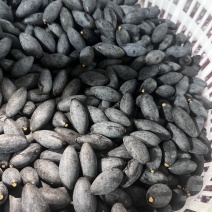 黑橄榄果子批发零售油榄车酸榄大量现货