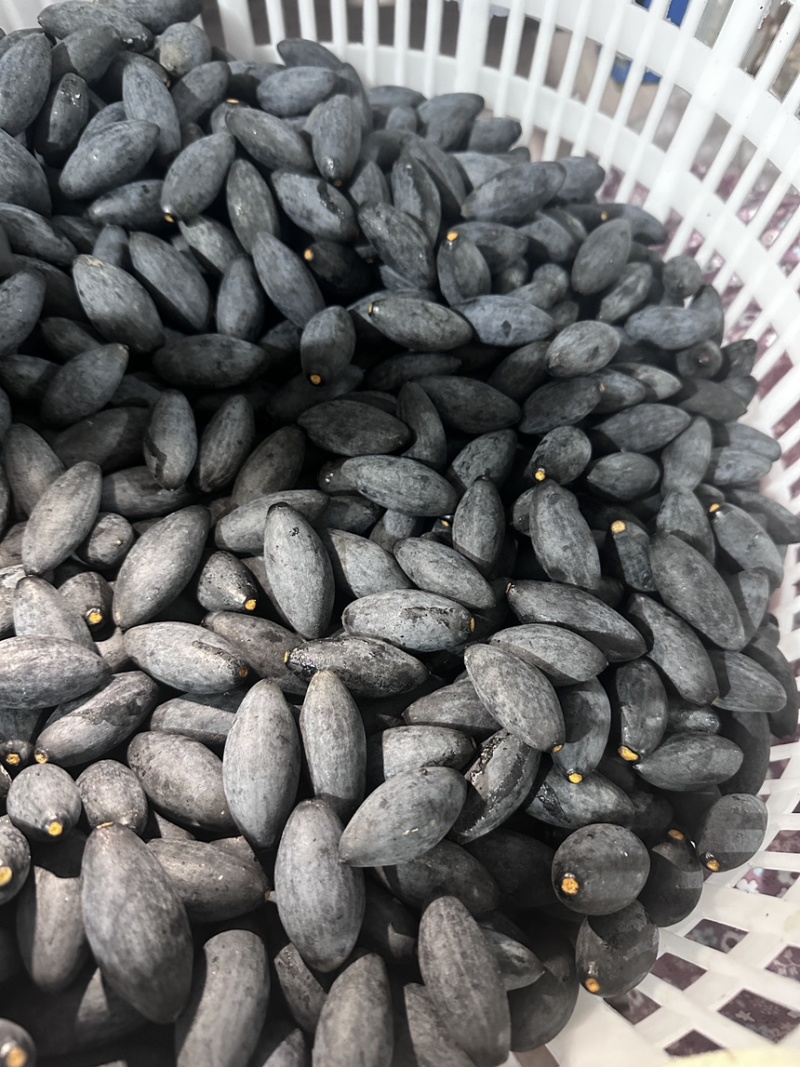 黑橄榄果子批发零售油榄车酸榄大量现货