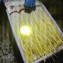 安丘精蒜黄全国发货