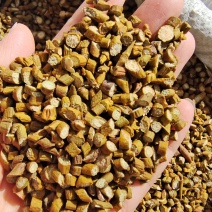 槲寄生东北干货2斤起包邮各种规格选货量大从优