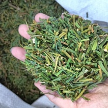 红豆杉叶干货红豆杉叶中药材！欢迎选购！