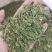 红豆杉叶干货红豆杉叶中药材！欢迎选购！