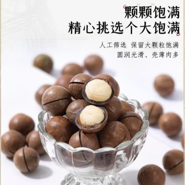新货】5A大颗粒奶油味夏威夷果坚果炒货干果年货