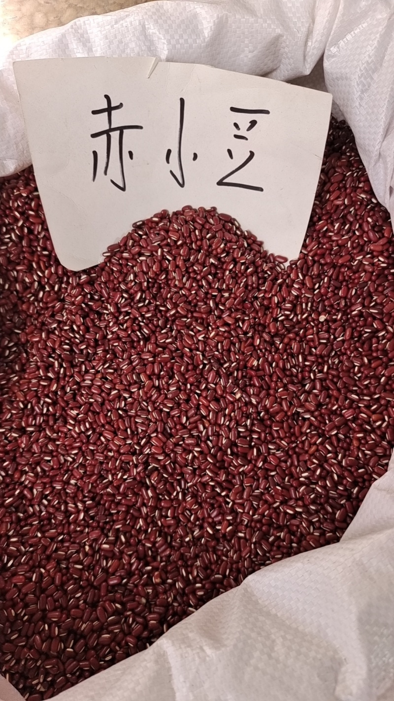 赤小豆散装河北干货药食两用量大从优