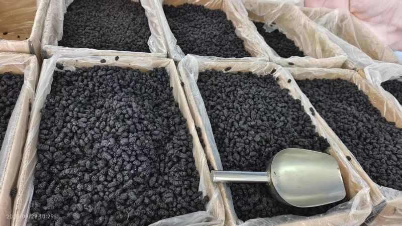 桑葚干选货大粒泡水泡酒1斤包邮量大优惠