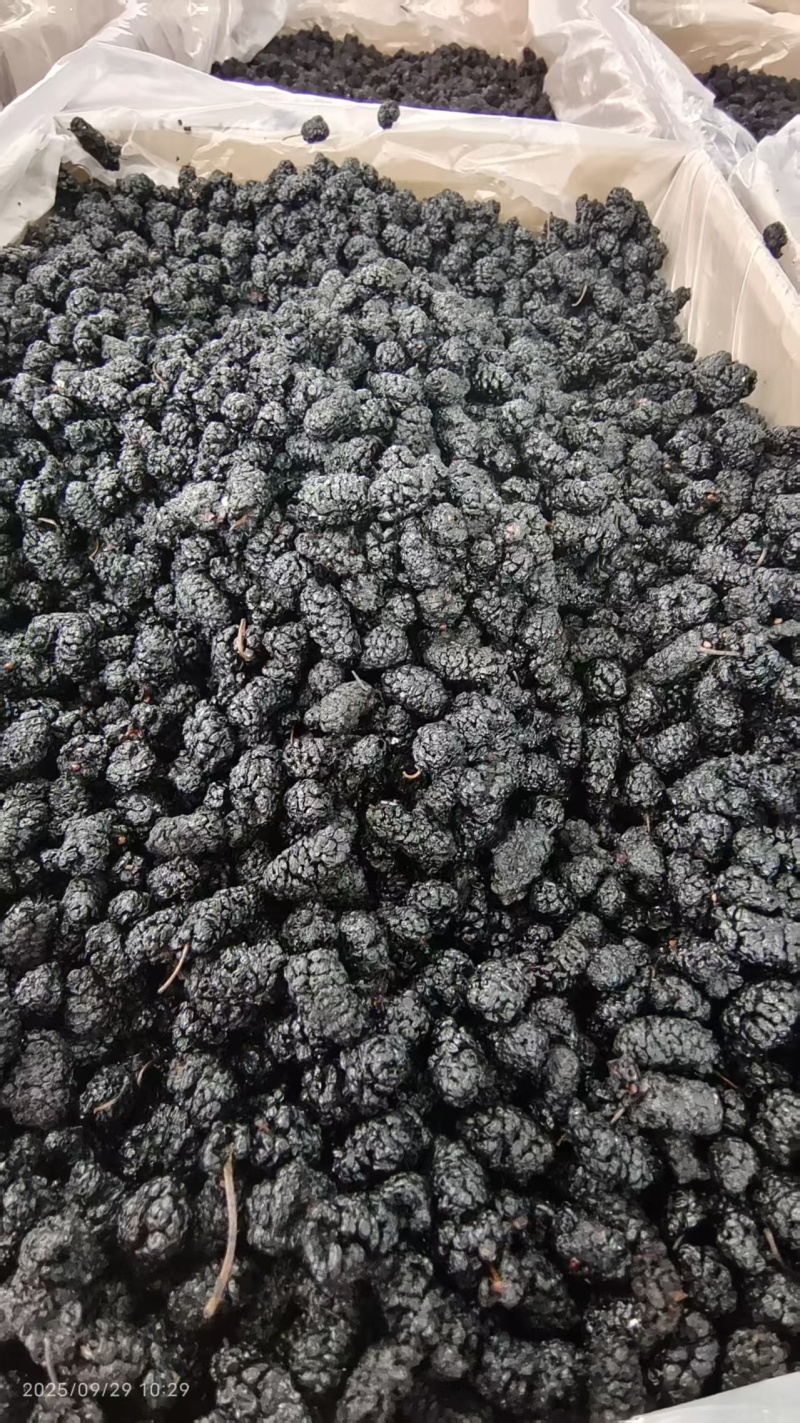 桑葚干选货大粒泡水泡酒1斤包邮量大优惠